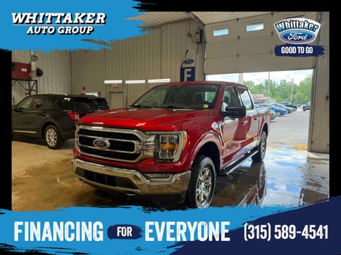 Used 2021 Ford F150 XLT w/ Equipment Group 302A High AWD/4WD image 1