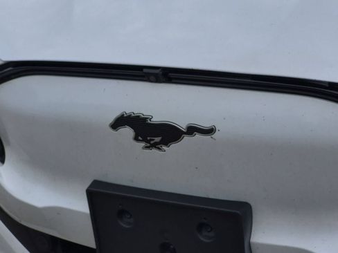 Used 2021 Ford Mustang Mach-E Premium AWD/4WD image 12