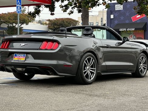 Used 2017 Ford Mustang Premium RWD image 4
