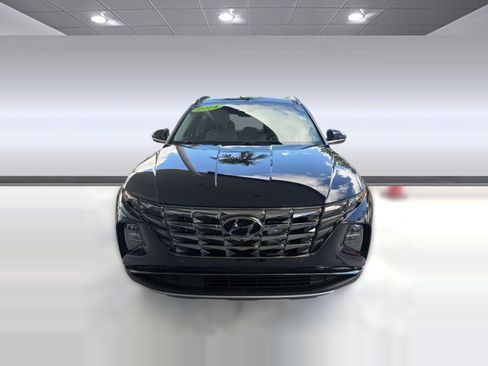 Used 2024 Hyundai Tucson Limited AWD/4WD image 6