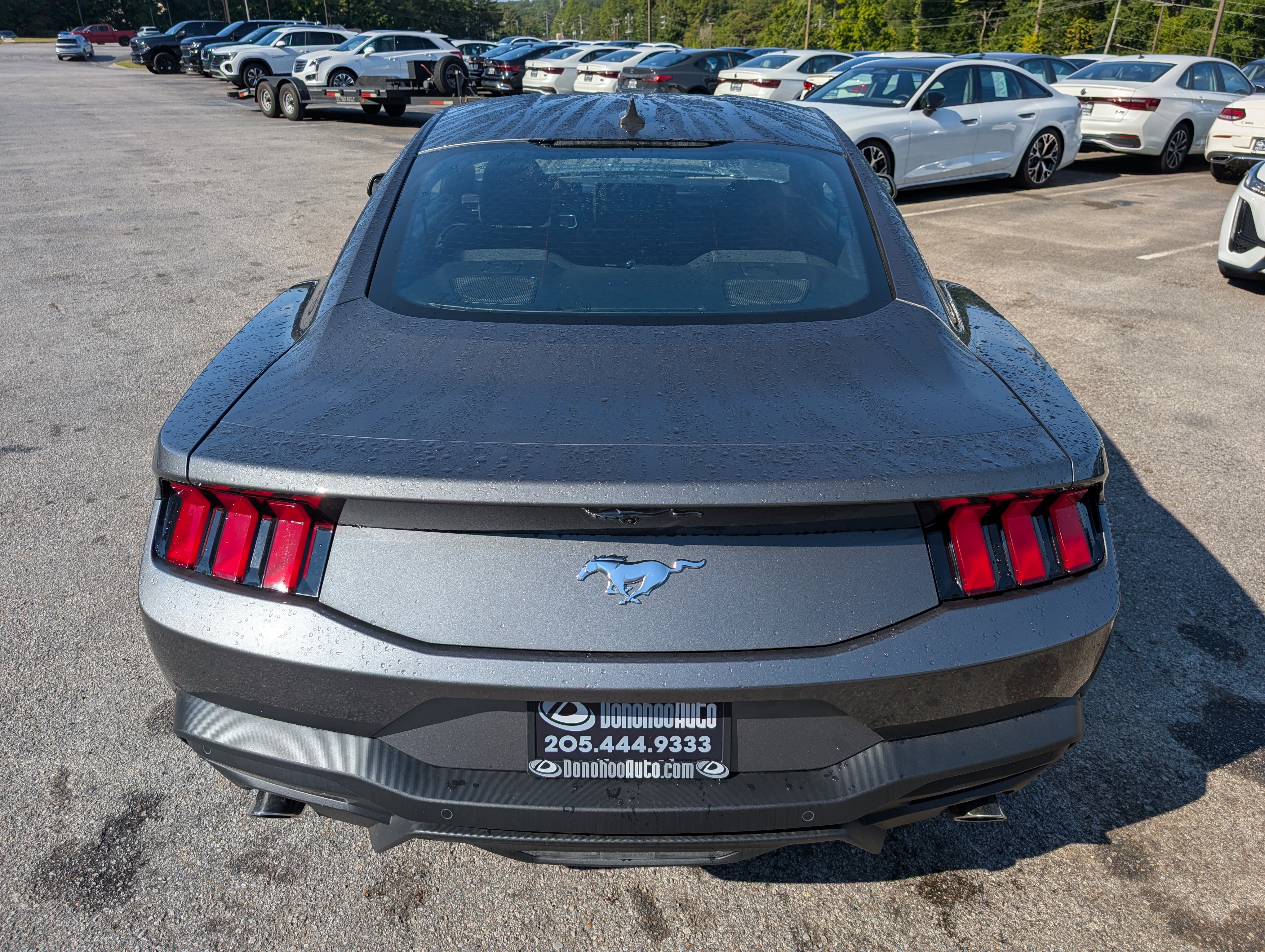 Used 2026 Ford Mustang Coupe RWD image 8