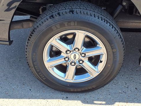 Used 2025 Ford F150 XLT w/ Equipment Group 301A Standard RWD image 10
