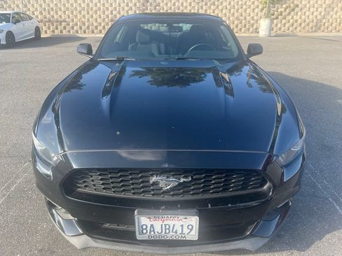 Used 2017 Ford Mustang Coupe w/ Wheel & Stripe Package RWD image 7
