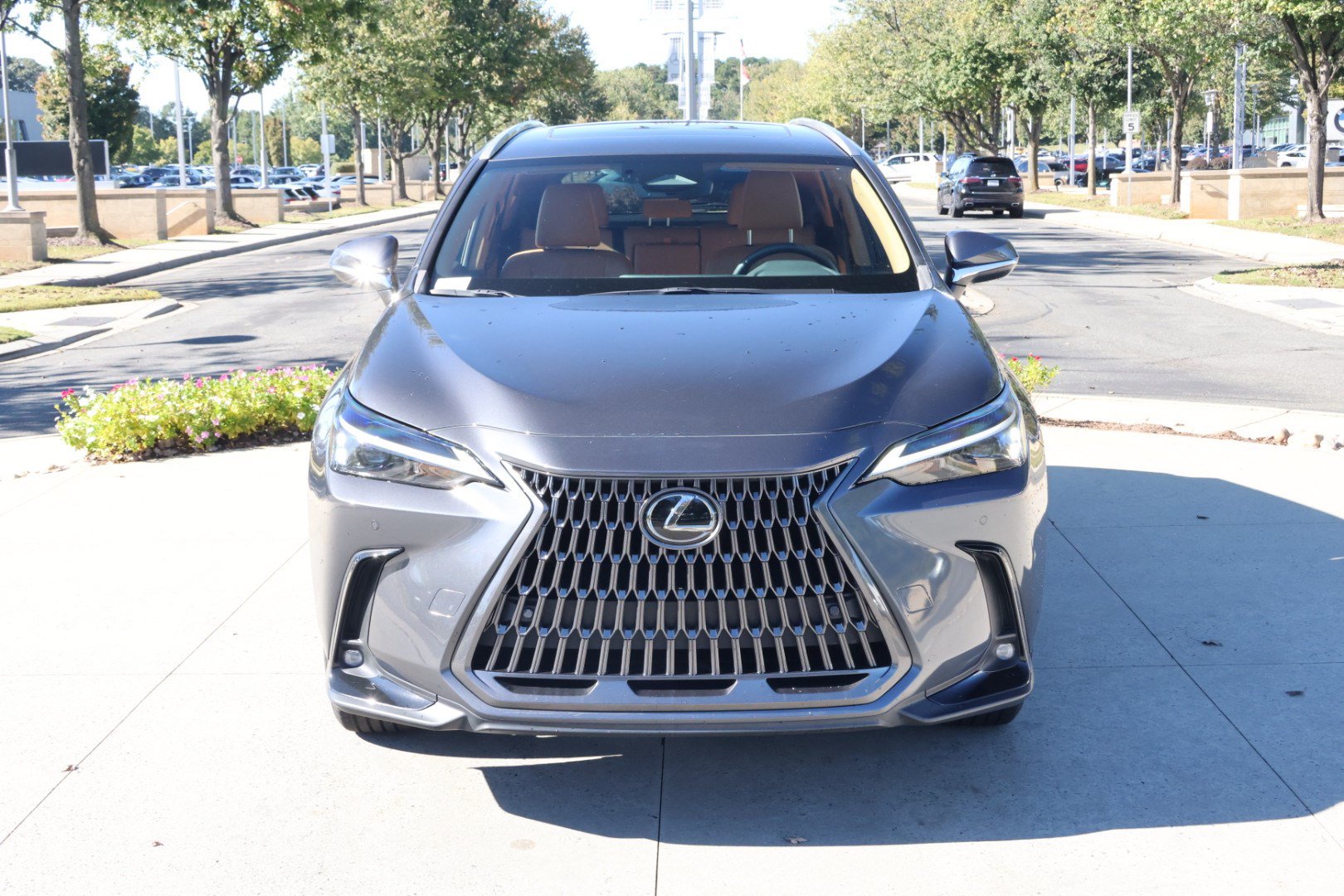 Certified 2024 Lexus NX 250 FWD image 3
