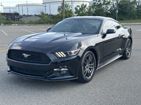 Used 2016 Ford Mustang Premium RWD image 1
