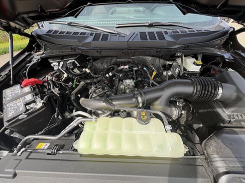 New 2026 Ford F150 STX w/ Equipment Group 201A FX4 AWD/4WD image 13