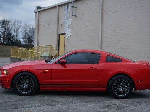 Used 2014 Ford Mustang Premium w/ Equipment Group 203A image 10