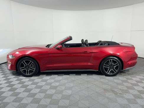 Used 2020 Ford Mustang Convertible w/ Equipment Group 101A image 2