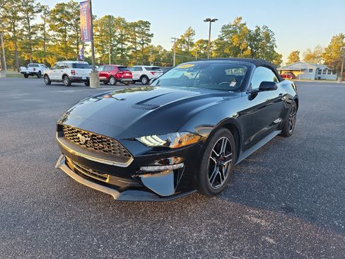 Used 2023 Ford Mustang Premium w/ Equipment Group 201A image 4