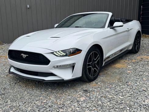 Used 2018 Ford Mustang Premium RWD image 15
