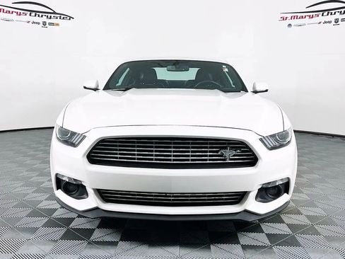 Used 2017 Ford Mustang Premium w/ Equipment Group 201A image 3