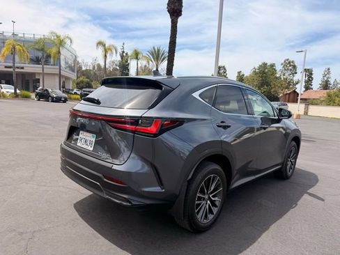 Used 2024 Lexus NX 350h AWD image 6