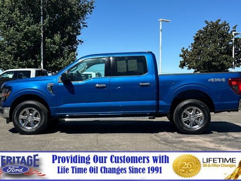 Used 2025 Ford F150 XLT w/ Equipment Group 301A Standard AWD/4WD image 7
