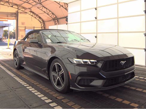 Used 2024 Ford Mustang Premium image 5