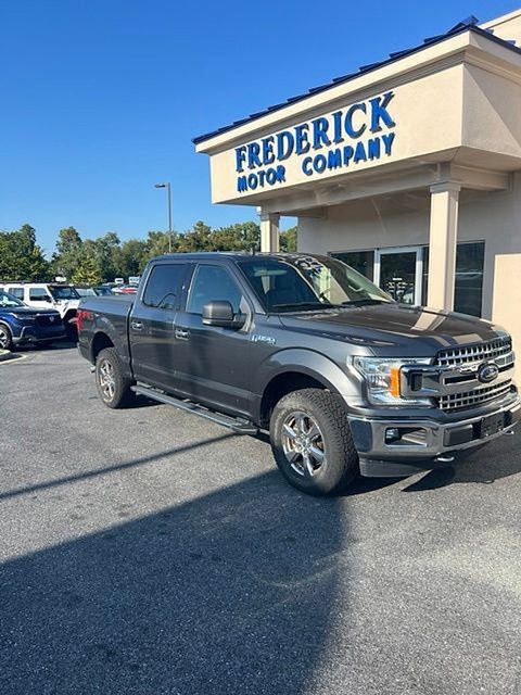 Used 2019 Ford F150 XLT w/ Equipment Group 302A Luxury AWD/4WD image 1