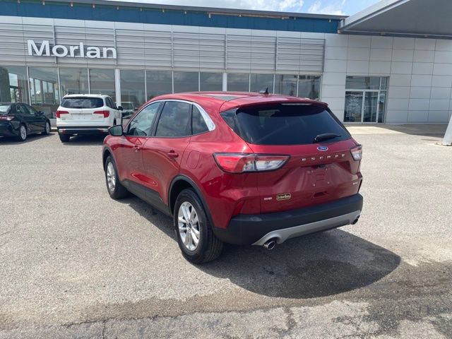 Used 2022 Ford Escape SE AWD/4WD image 7