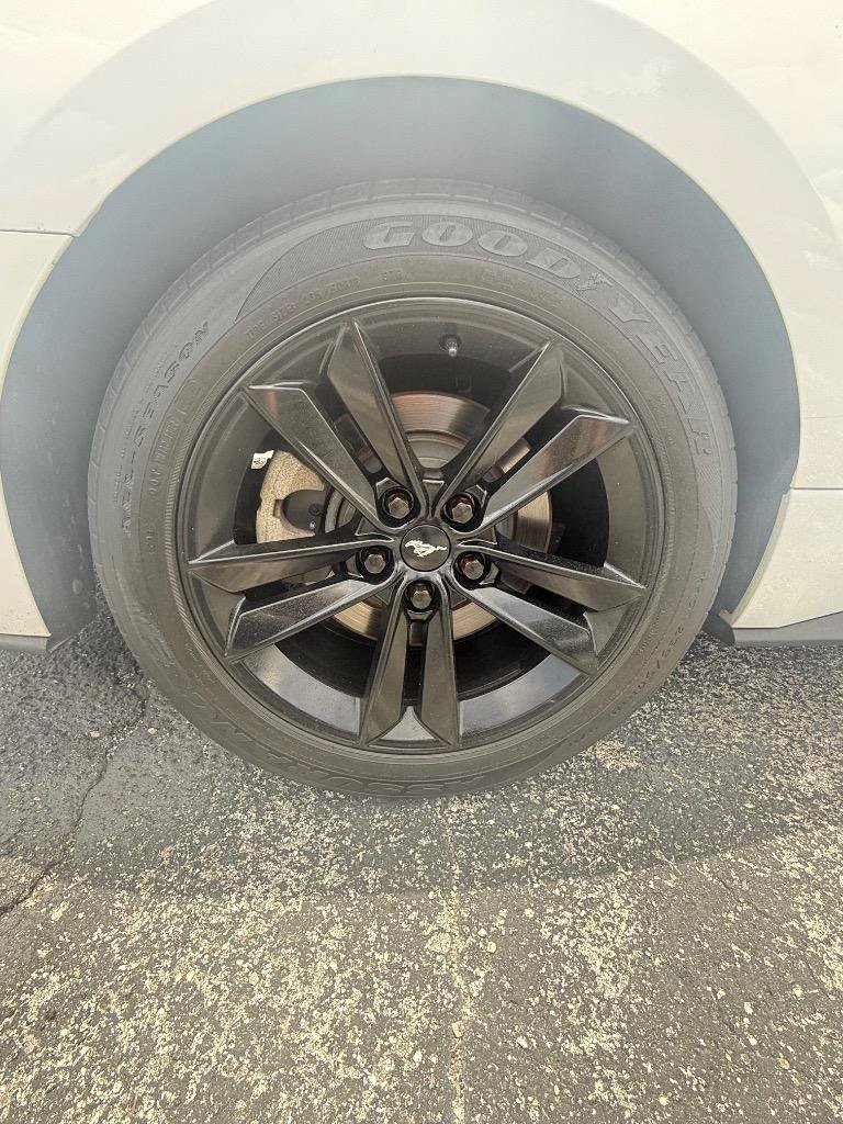 Used 2018 Ford Mustang Premium RWD image 13