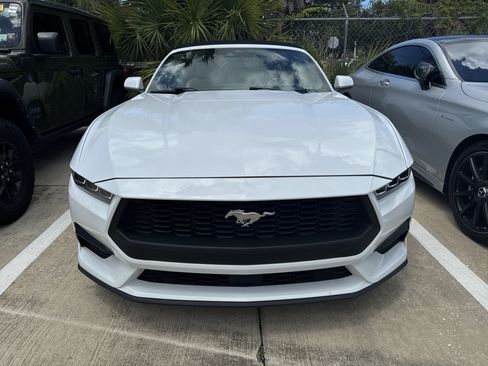 Used 2024 Ford Mustang Premium RWD image 2