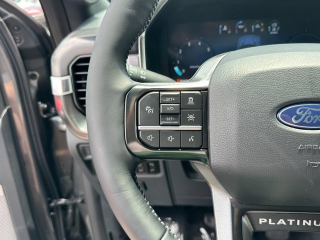 New 2026 Ford F150 Platinum w/ Equipment Group 701A Standard AWD/4WD image 9