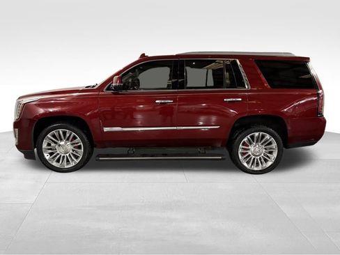 Used 2016 Cadillac Escalade Platinum image 2