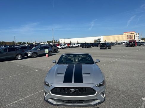 Used 2019 Ford Mustang Premium image 14