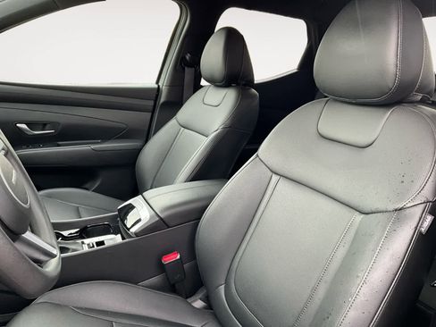 Used 2025 Hyundai Santa Cruz SEL image 13