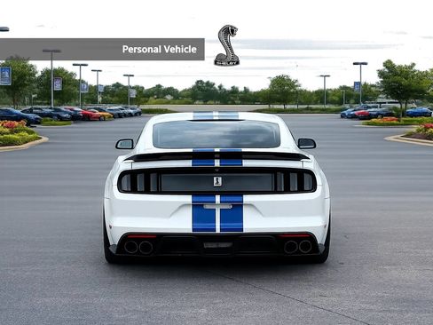 Used 2017 Ford Mustang Shelby GT350 w/ Electronics Package RWD image 4
