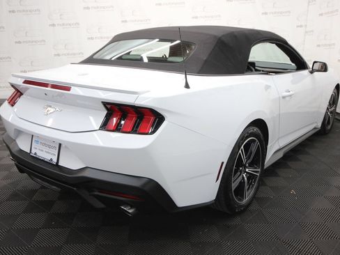 Used 2024 Ford Mustang Premium RWD image 6