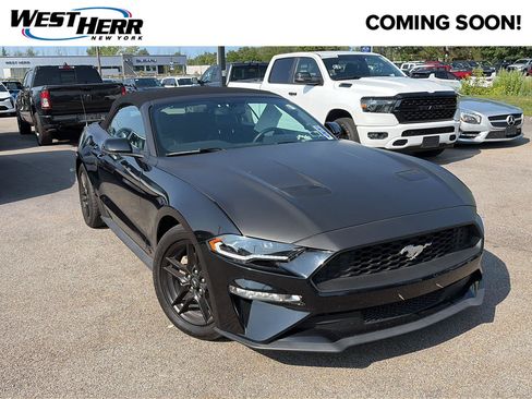 Used 2020 Ford Mustang Premium RWD image 1