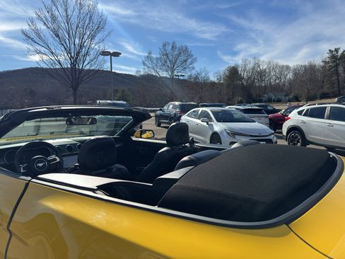 Used 2018 Ford Mustang Premium w/ Equipment Group 201A image 19