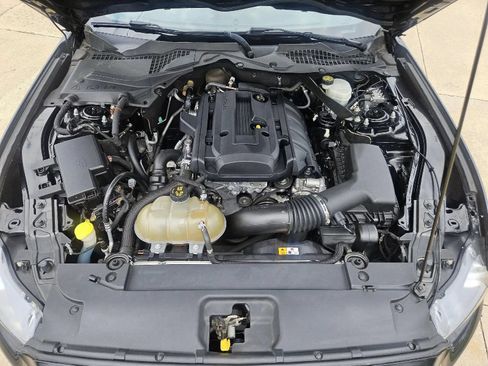 Used 2017 Ford Mustang Premium w/ Ecoboost Performance Package RWD image 9