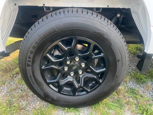 Used 2025 Ford F150 XLT w/ Equipment Group 301A Standard AWD/4WD image 9