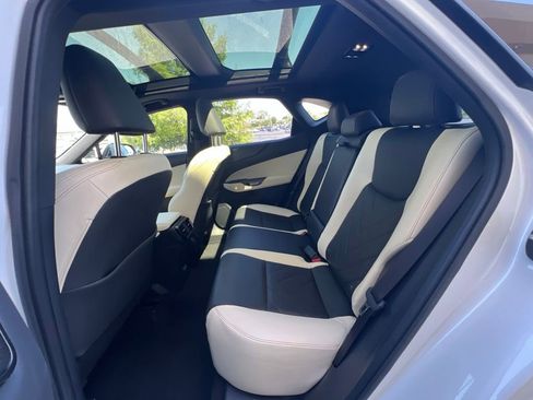 Certified 2024 Lexus NX 350 AWD w/ Vision Package image 13