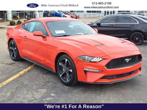 Certified 2019 Ford Mustang Coupe image 7