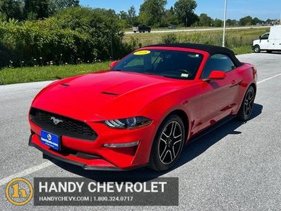 Used 2018 Ford Mustang Premium w/ Equipment Group 201A