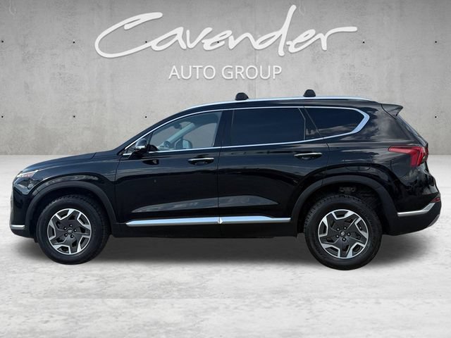 Used 2023 Hyundai Santa Fe Blue AWD/4WD image 13