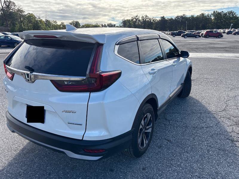 Used 2022 Honda CR-V Special Edition image 7