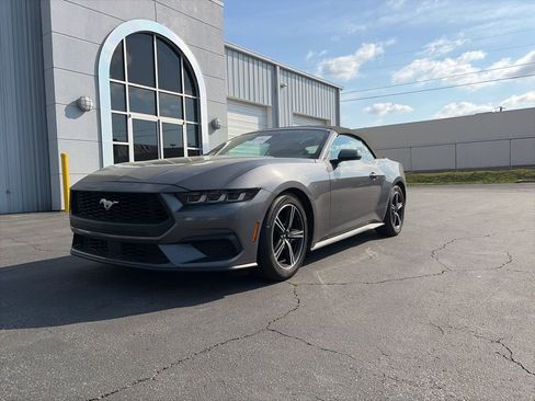 Used 2024 Ford Mustang Premium image 3
