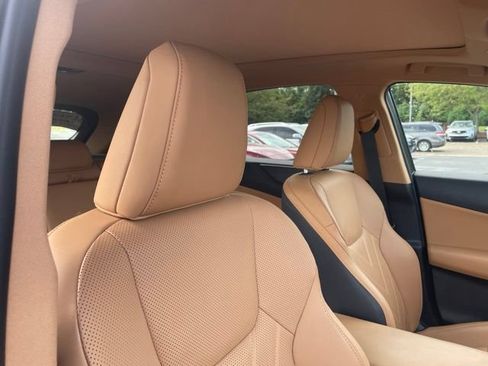 Used 2025 Lexus NX 350h AWD w/ Cold Area Package image 7