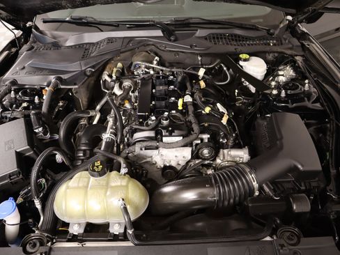 Used 2021 Ford Mustang Premium w/ Equipment Group 201A image 19