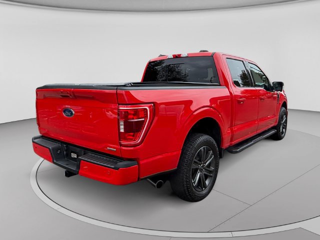 Used 2021 Ford F150 XLT w/ Equipment Group 302A High AWD/4WD image 5