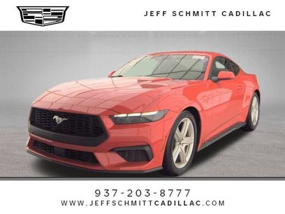 Used 2026 Ford Mustang Premium
