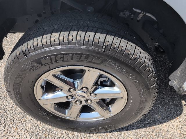 Used 2025 Ford F150 XLT w/ Equipment Group 302A MID AWD/4WD image 10