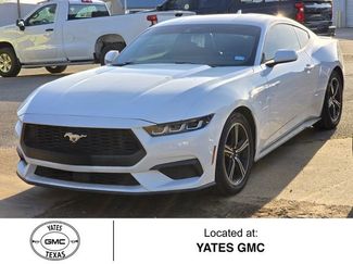 Used 2024 Ford Mustang Premium video 1