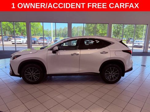 Certified 2024 Lexus NX 350 AWD image 4