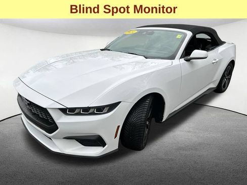 Used 2024 Ford Mustang Premium RWD image 5