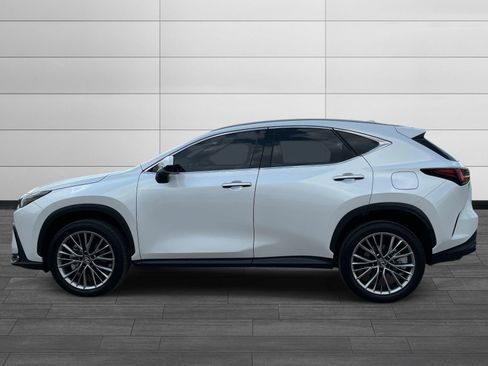Used 2025 Lexus NX 350h AWD w/ Premium Package image 6