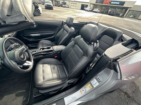 Used 2022 Ford Mustang GT Premium w/ Equipment Group 401A image 10