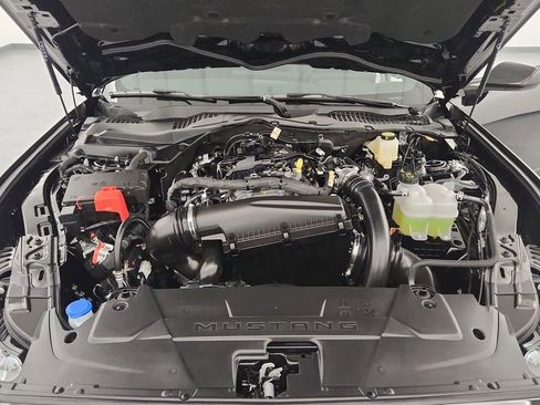 New 2026 Ford Mustang Coupe w/ Mustang Nite Pony Package RWD image 22