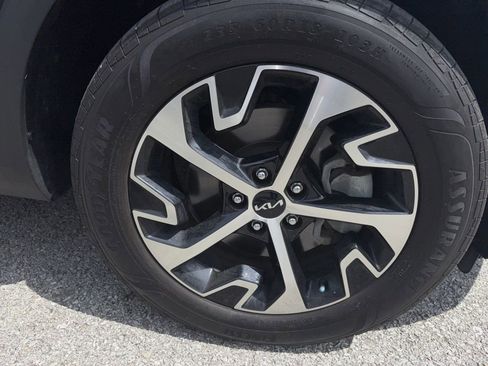 Certified 2023 Kia Sportage EX image 10